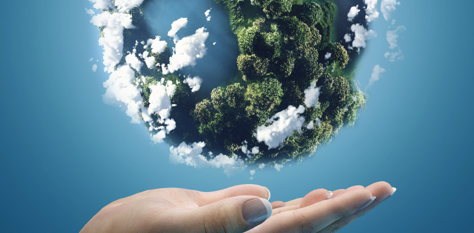 carbon-offsetting-environmental-responsiblity-enigma-industrial-services-climate-care-co2-queens-award carbon offsetting environmental responsiblity enigma industrial services climate care co2 queens award
