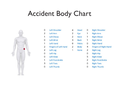 incident reporting accident body chart qshe software management
